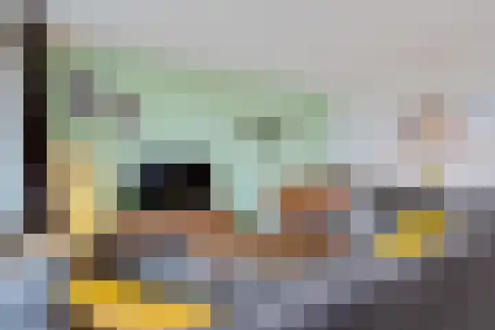 Bagijnenwaard 314 Zoetermeer thumbnail 12