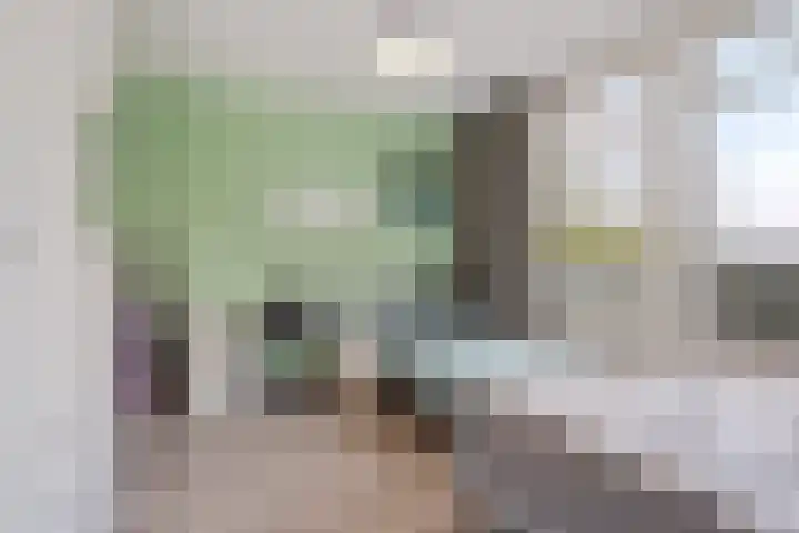 Bagijnenwaard 314 Zoetermeer thumbnail 21