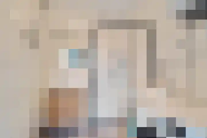 Bagijnenwaard 314 Zoetermeer thumbnail 23