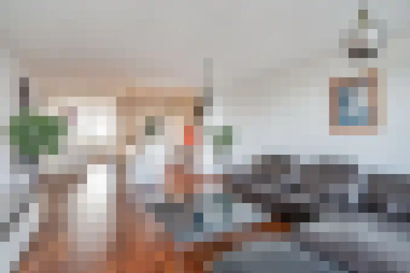 Bagijnenwaard 50 Zoetermeer thumbnail 13