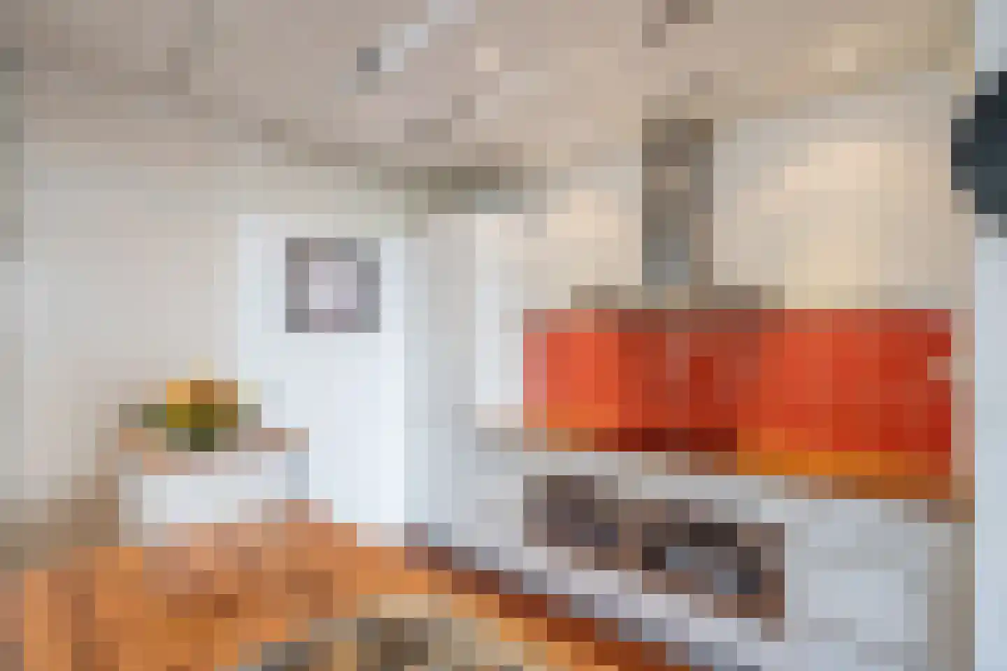 Bagijnenwaard 50 Zoetermeer thumbnail 9