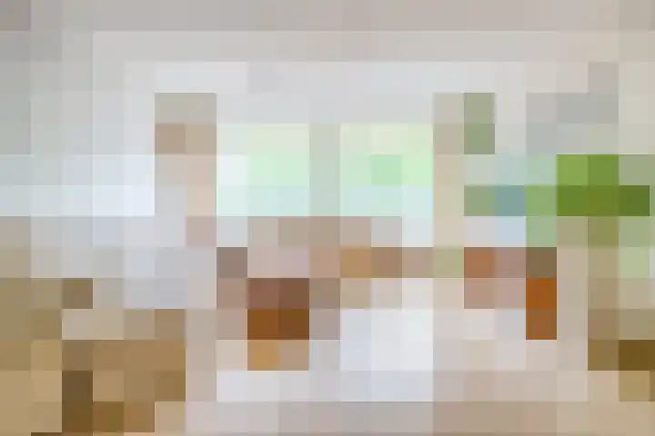 Bagijnenwaard 8 Zoetermeer thumbnail 10