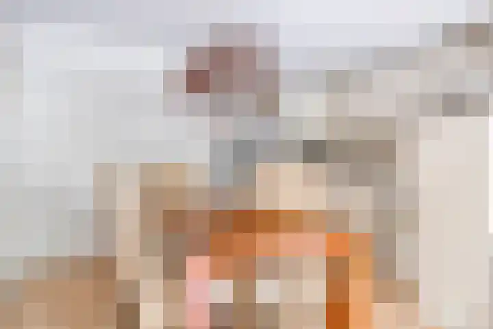 Bagijnenwaard 8 Zoetermeer thumbnail 13
