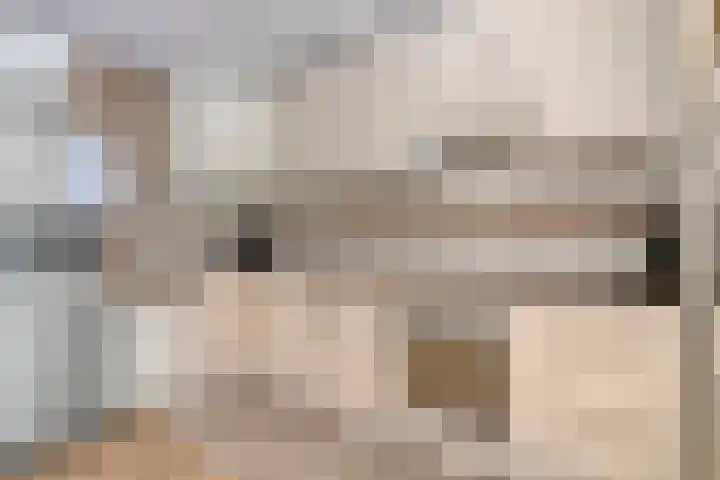 Bagijnenwaard 8 Zoetermeer thumbnail 14