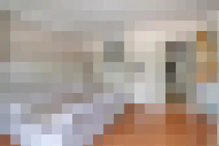 Bagijnenwaard 8 Zoetermeer thumbnail 17