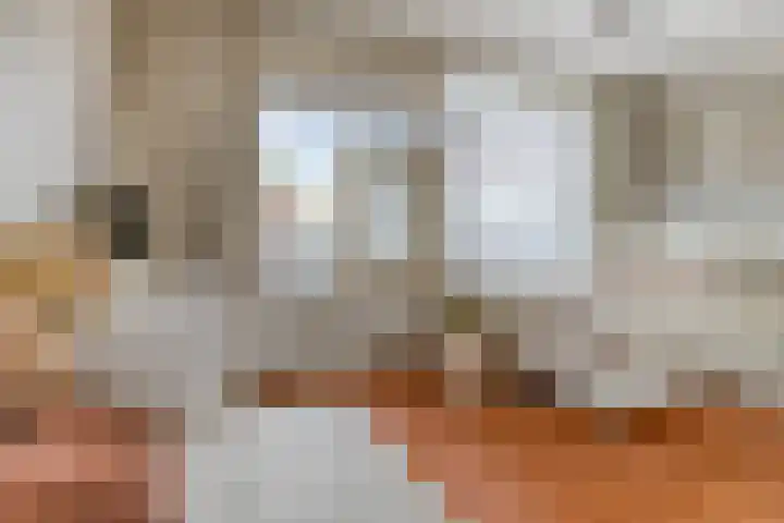 Bagijnenwaard 8 Zoetermeer thumbnail 20