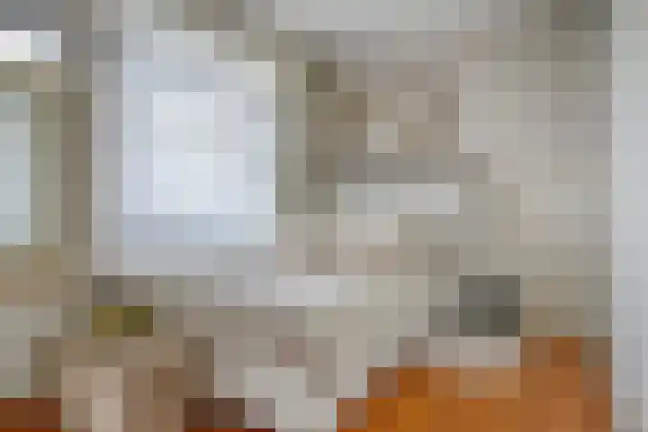 Bagijnenwaard 8 Zoetermeer thumbnail 21