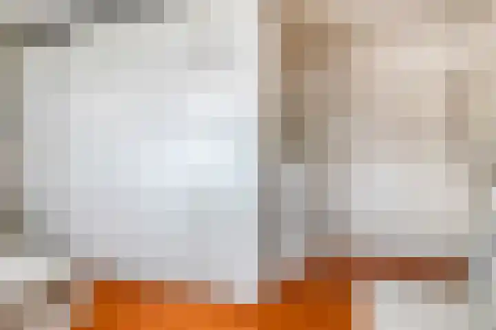Bagijnenwaard 8 Zoetermeer thumbnail 22