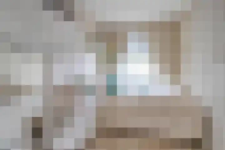 Bagijnenwaard 8 Zoetermeer thumbnail 23