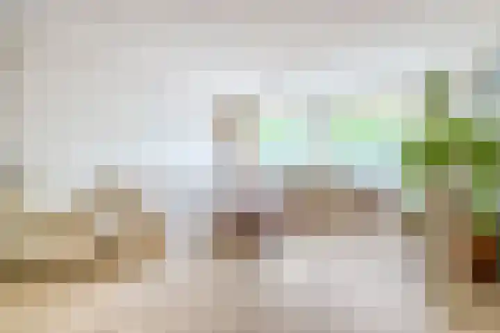 Bagijnenwaard 8 Zoetermeer thumbnail 9