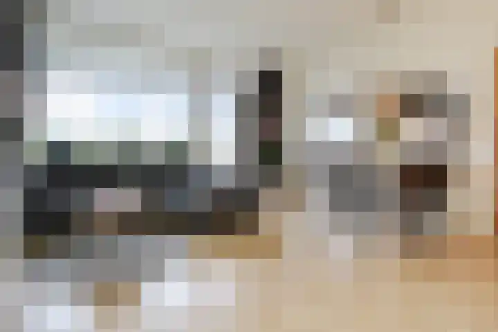 Bagijnenwaard 92 Zoetermeer thumbnail 11