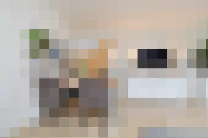 Bagijnenwaard 92 Zoetermeer thumbnail 24
