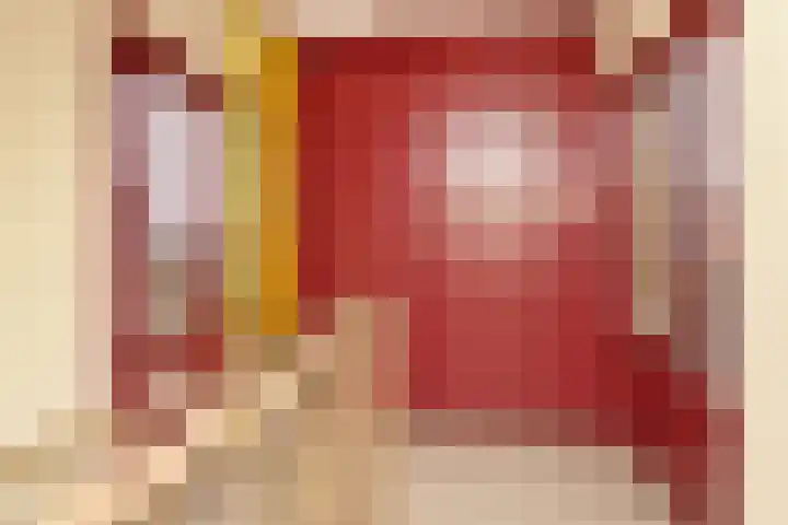 Bagijnenwaard 92 Zoetermeer thumbnail 40