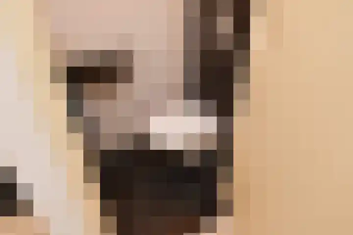 Bagijnenwaard 92 Zoetermeer thumbnail 6