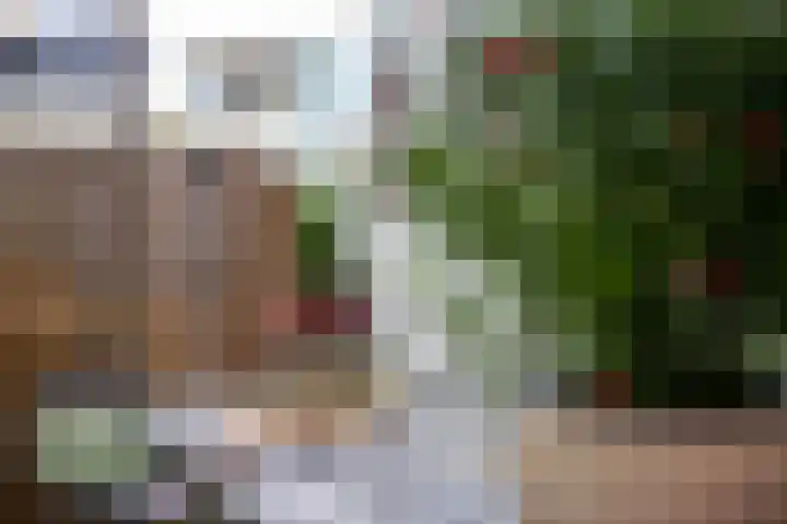 Bagijnenwal 26 Gorinchem thumbnail 10