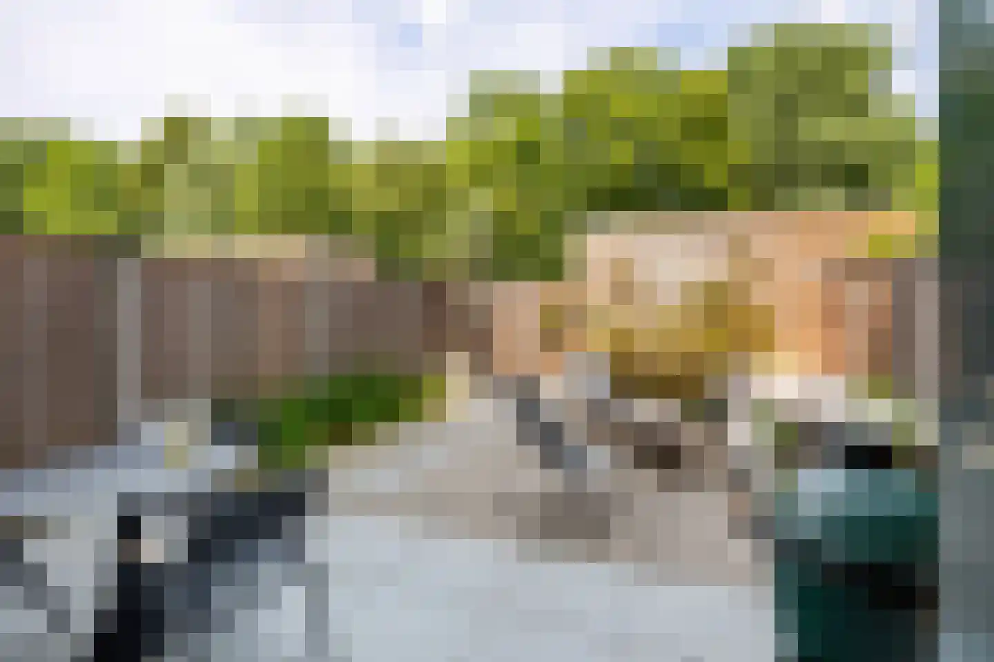 Bagijnenwalstraat 21 Gorinchem thumbnail 17
