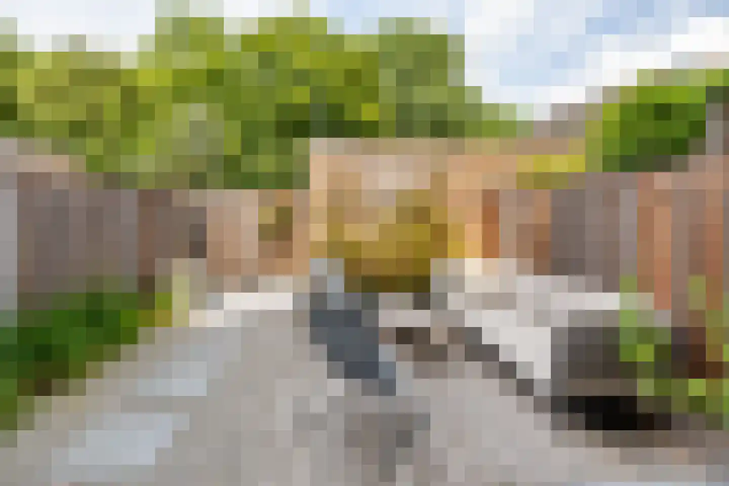 Bagijnenwalstraat 21 Gorinchem thumbnail 18