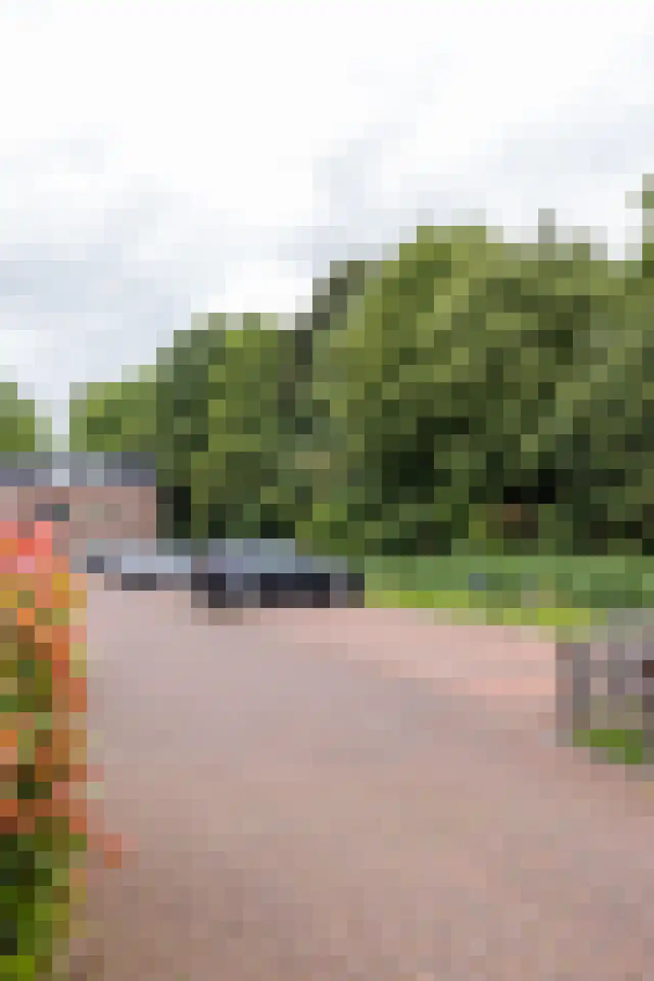Bagijnenwalstraat 21 Gorinchem thumbnail 36
