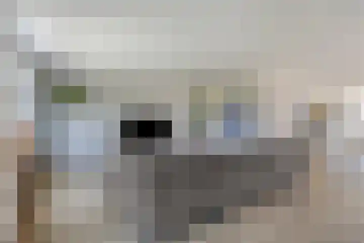 Bagijnenweid 13 Blokker thumbnail 11