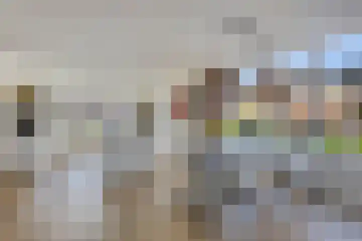 Bagijnenweid 13 Blokker thumbnail 13