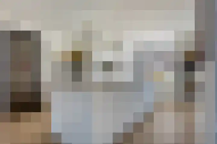 Bagijnenweid 13 Blokker thumbnail 18