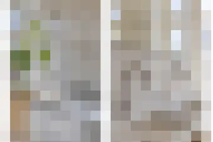 Bagijnenweid 13 Blokker thumbnail 26