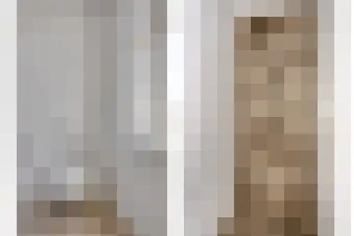 Bagijnenweid 13 Blokker thumbnail 27