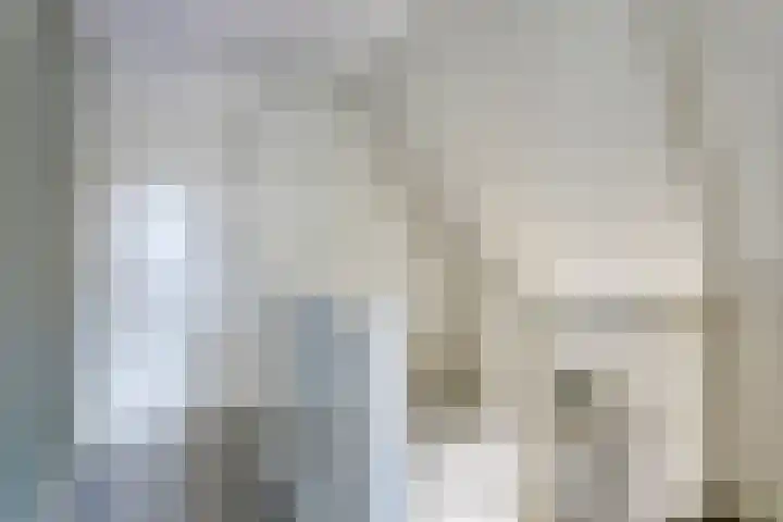 Bagijnenweid 13 Blokker thumbnail 28