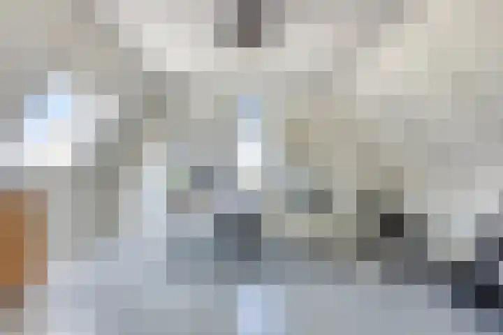 Bagijnenweid 13 Blokker thumbnail 29