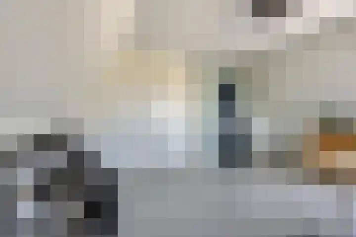 Bagijnenweid 13 Blokker thumbnail 30