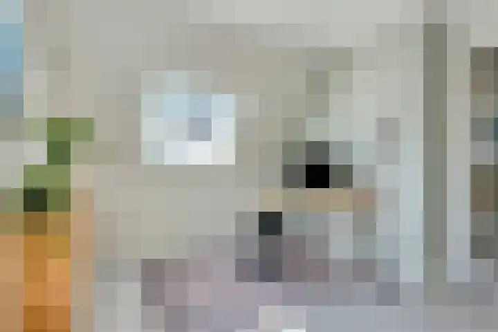Bagijnenweid 13 Blokker thumbnail 31