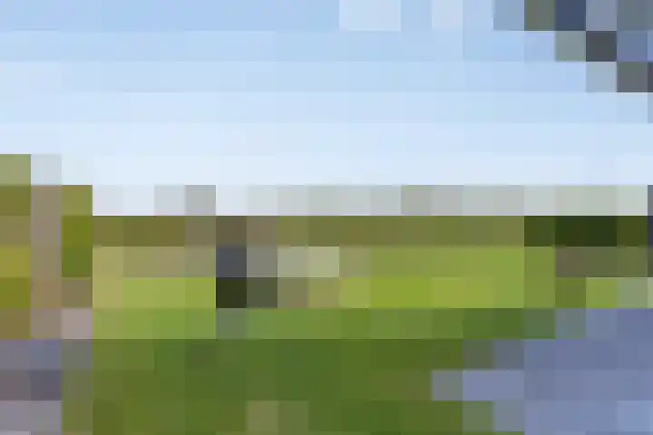 Bagijnenweid 13 Blokker thumbnail 35