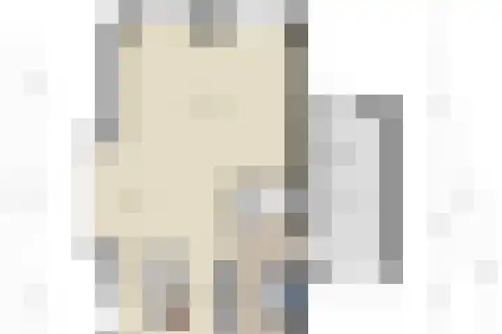Bagijnenweid 13 Blokker thumbnail 56