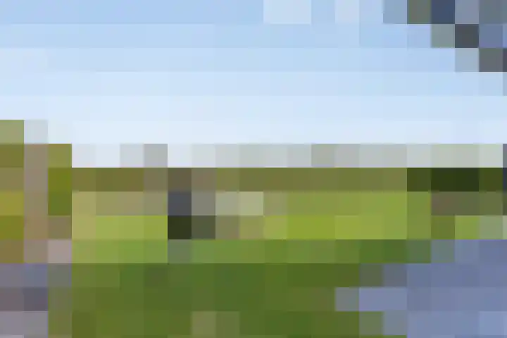 Bagijnenweid 13 Blokker thumbnail 6