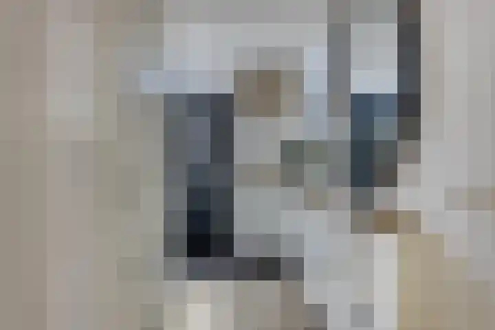 Bagijnenweid 13 Blokker thumbnail 7