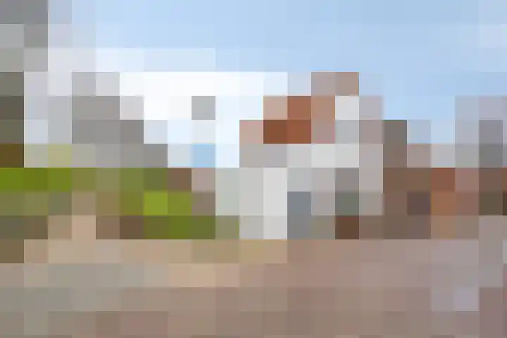 Bagijnesteeg 4 Hulst