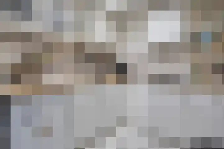 Bagijnesteeg 4 Hulst thumbnail 10