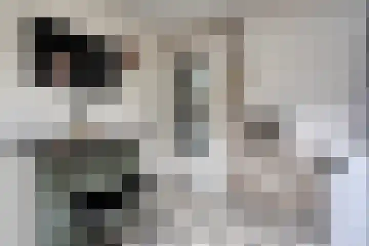 Bagijnesteeg 4 Hulst thumbnail 11