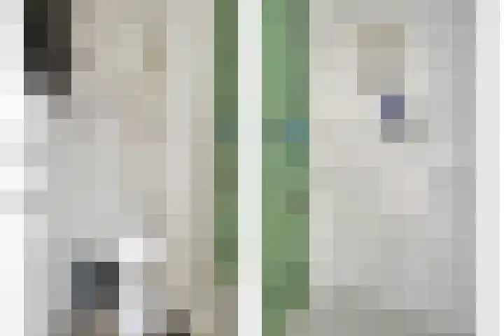 Bagijnesteeg 4 Hulst thumbnail 14