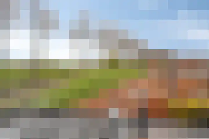 Bagijnesteeg 4 Hulst thumbnail 21