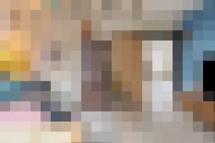 Bagijnesteeg 4 Hulst thumbnail 7