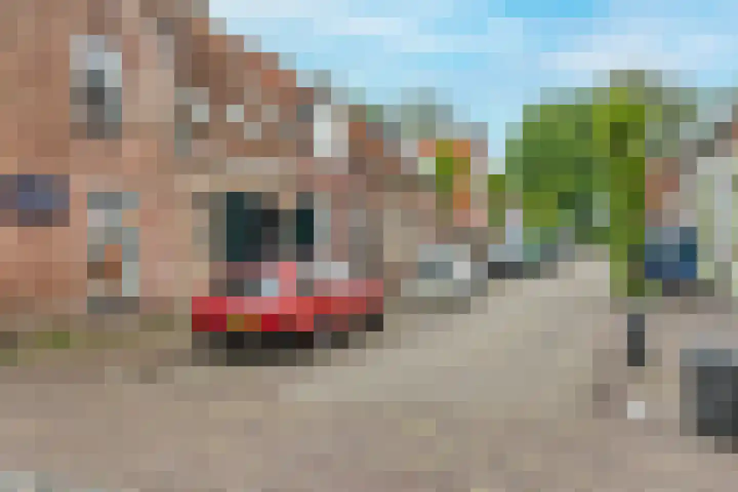 Bagijnestraat 1 Woudrichem thumbnail 22