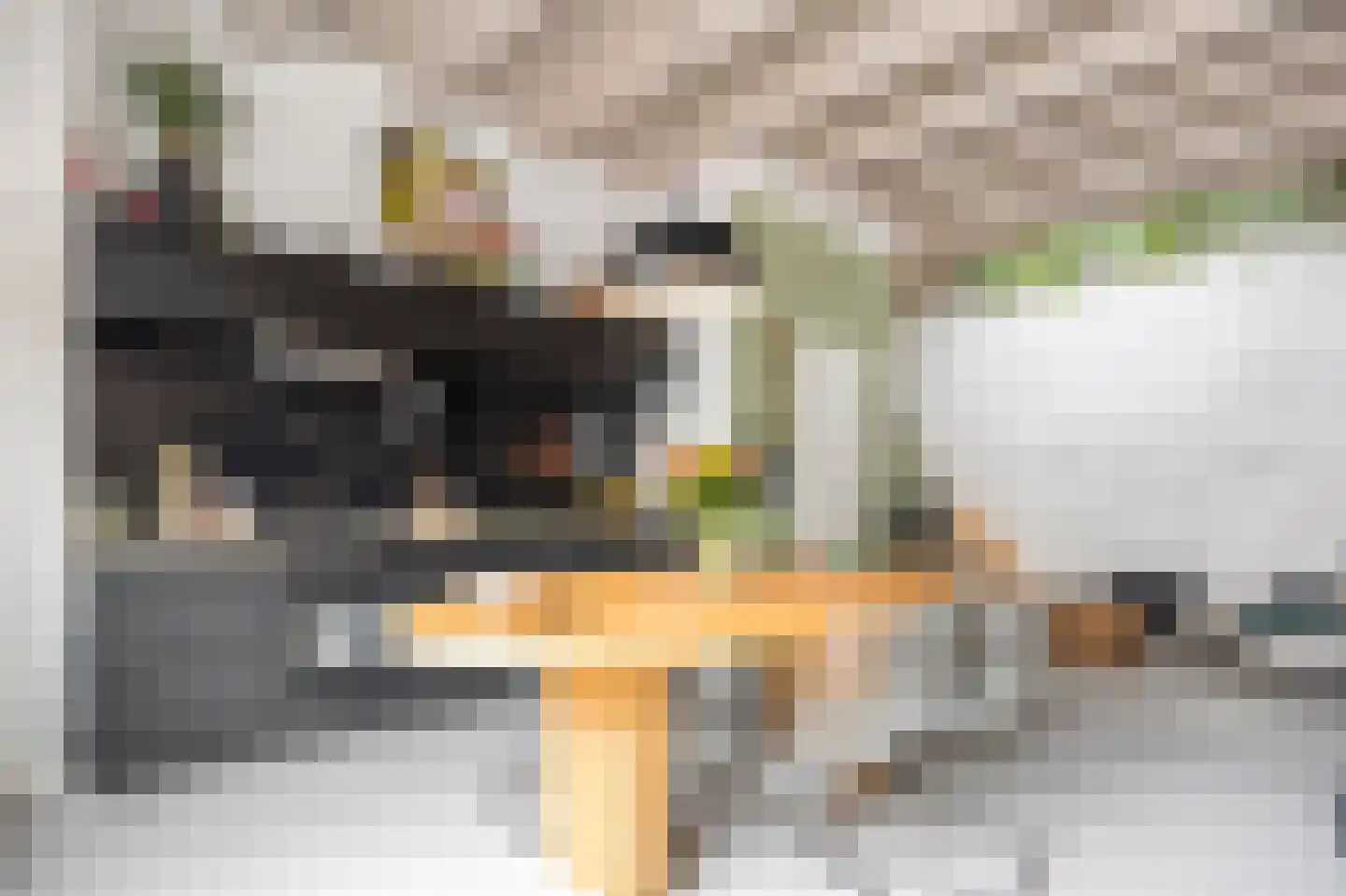 Bagijnestraat 1 Woudrichem thumbnail 5