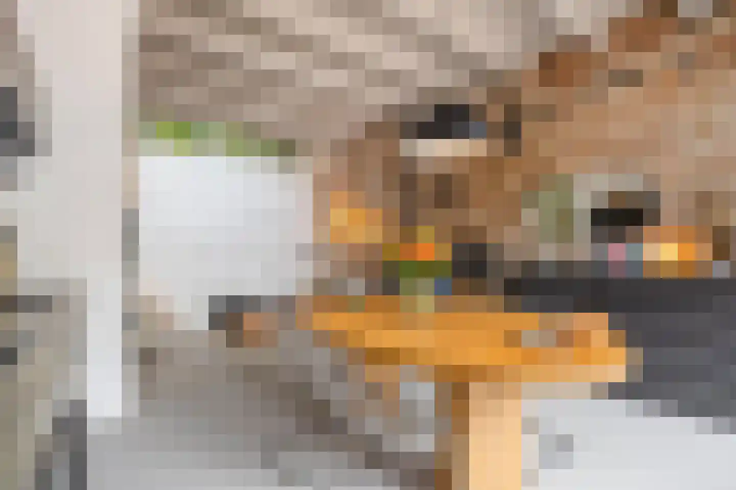 Bagijnestraat 1 Woudrichem thumbnail 9