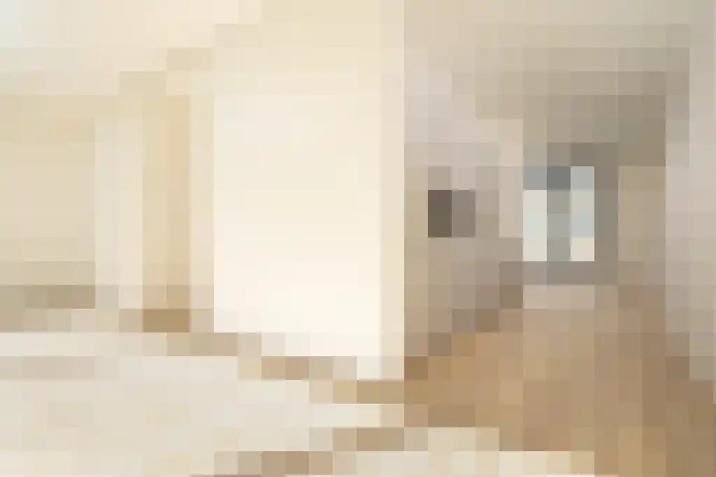 Bagijnestraat 18 Den Haag thumbnail 5