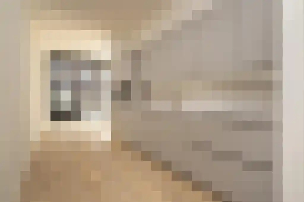 Bagijnestraat 18 Den Haag thumbnail 6