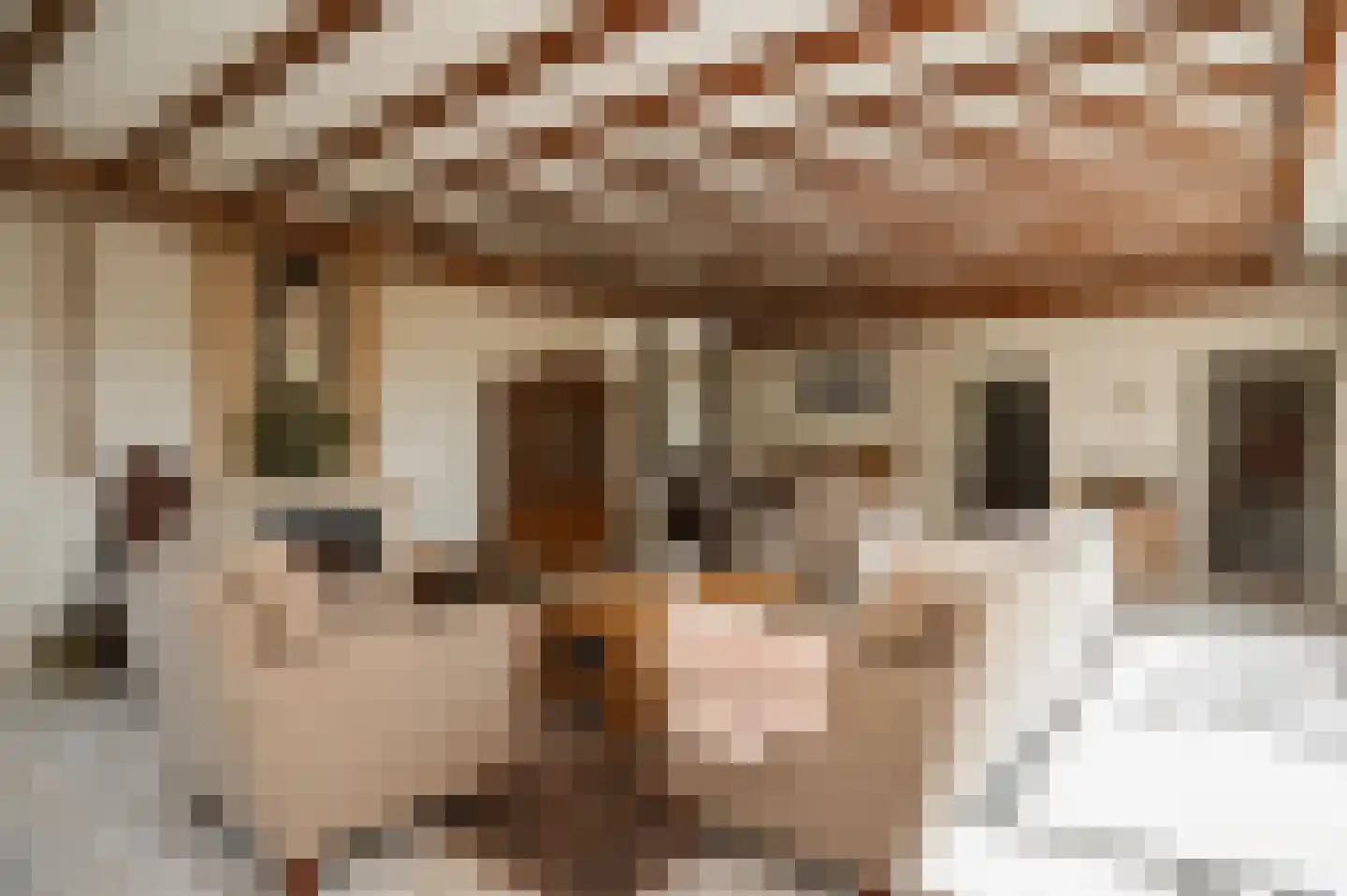Bagijnestraat 19 Ochten thumbnail 10