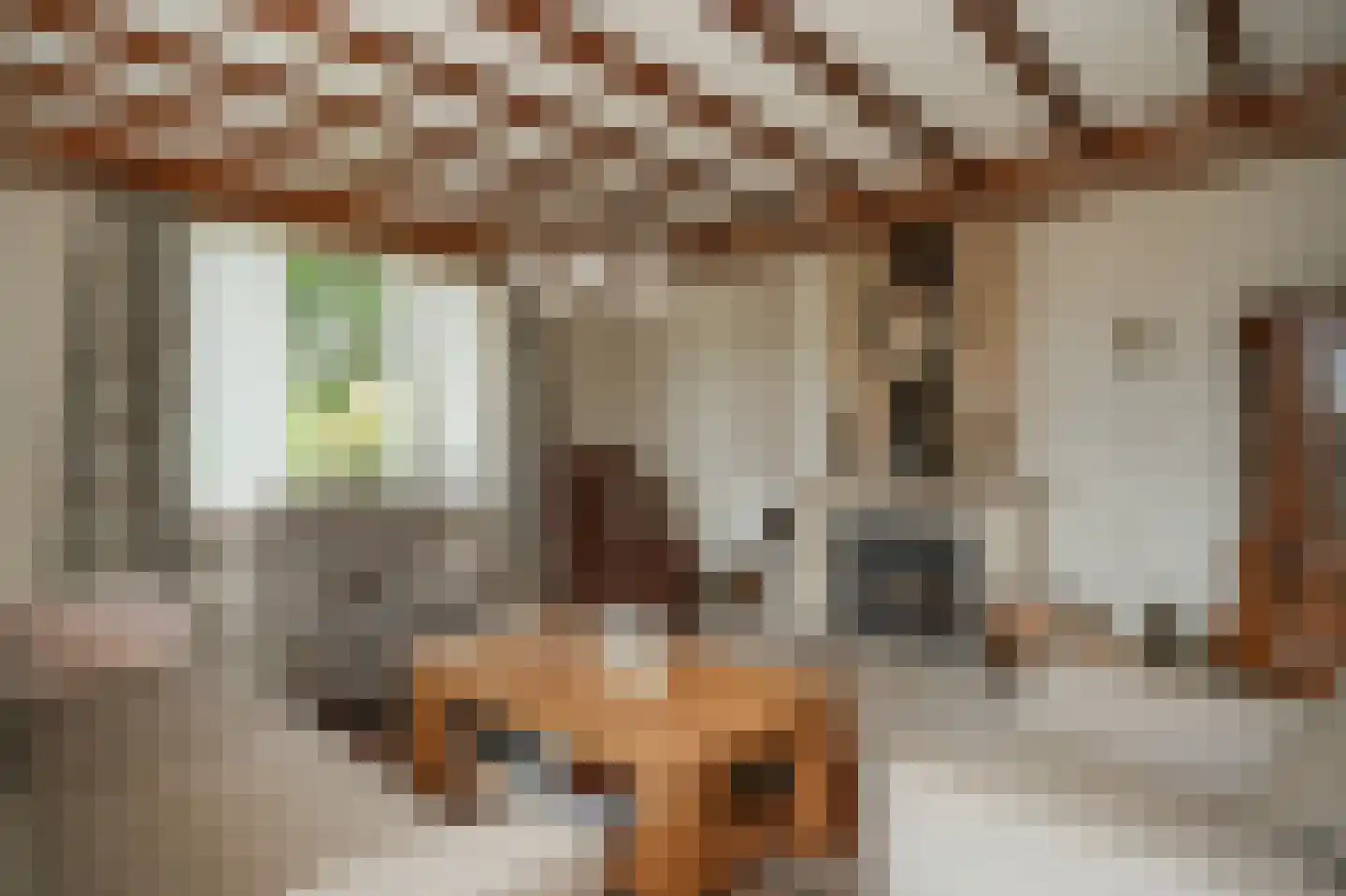 Bagijnestraat 19 Ochten thumbnail 12
