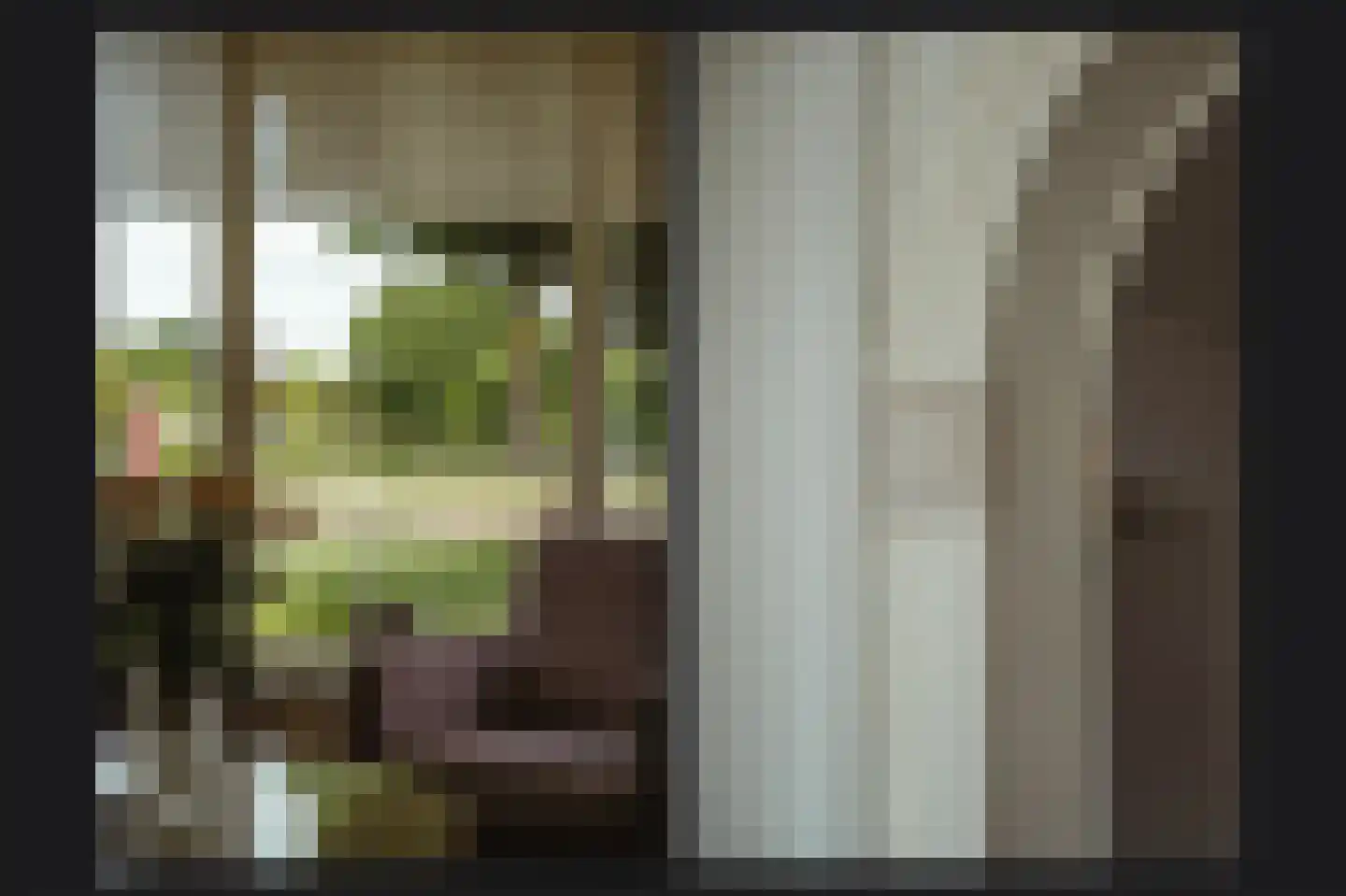 Bagijnestraat 19 Ochten thumbnail 13