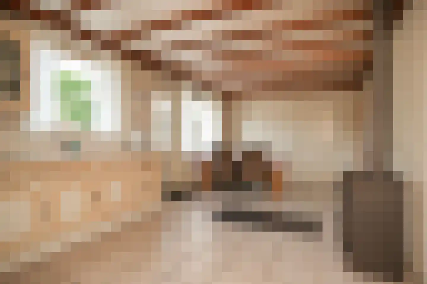 Bagijnestraat 19 Ochten thumbnail 20